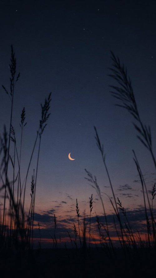 Crescent Moon Twilight View - moon Wallpaper