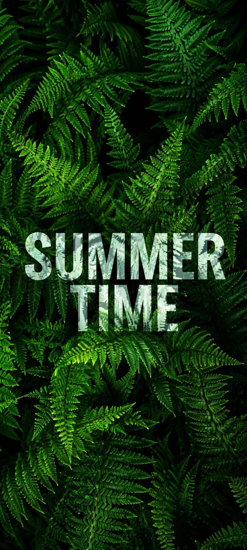 Summer Time Fern Leaves - Related OpersCraft wallpaper