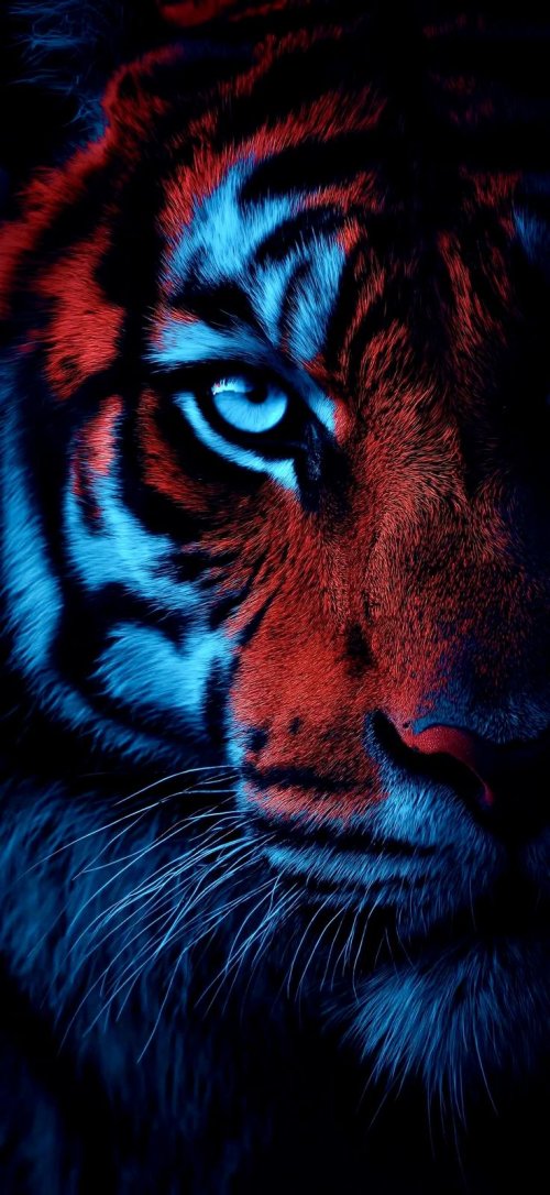 Neon Glowing Tiger Portrait - Related OpersCraft wallpaper