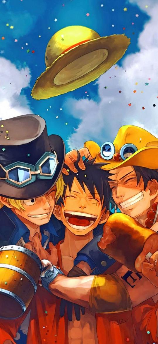 One Piece Brotherhood Celebration - anime Wallpaper