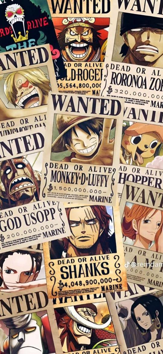 One Piece Wanted Posters - anime Wallpaper