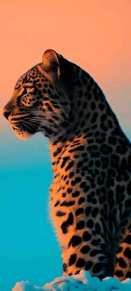 Leopard at Sunset - Related OpersCraft wallpaper