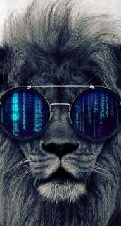 Lion Hacker Wallpaper - Related OpersCraft wallpaper