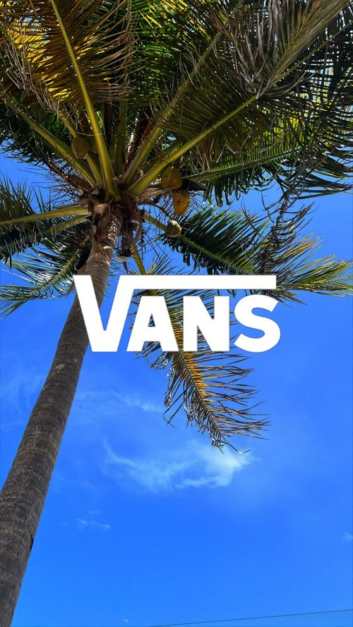 Vans Palm Tree Wallpaper