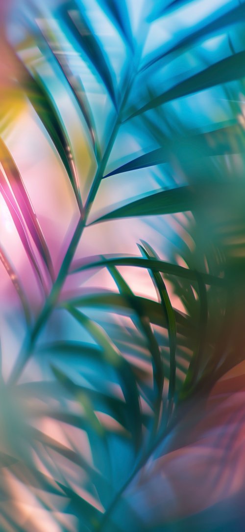 Abstract Tropical Leaves - Related OpersCraft wallpaper