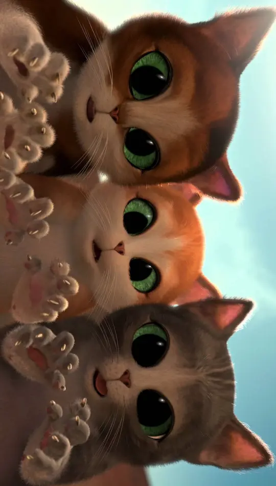 Adorable Kitten Stack - Related OpersCraft wallpaper