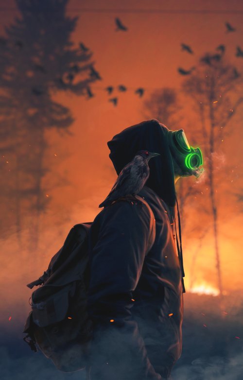 Apocalyptic Survivor with Raven - Related OpersCraft wallpaper
