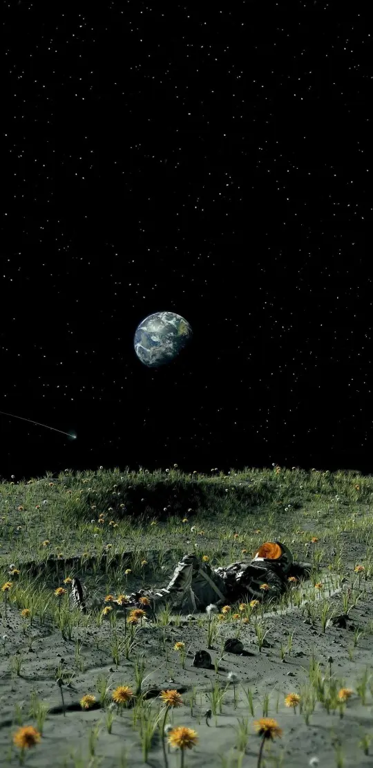 Astronaut's Lunar Meadow Rest - Related StockWalls wallpaper