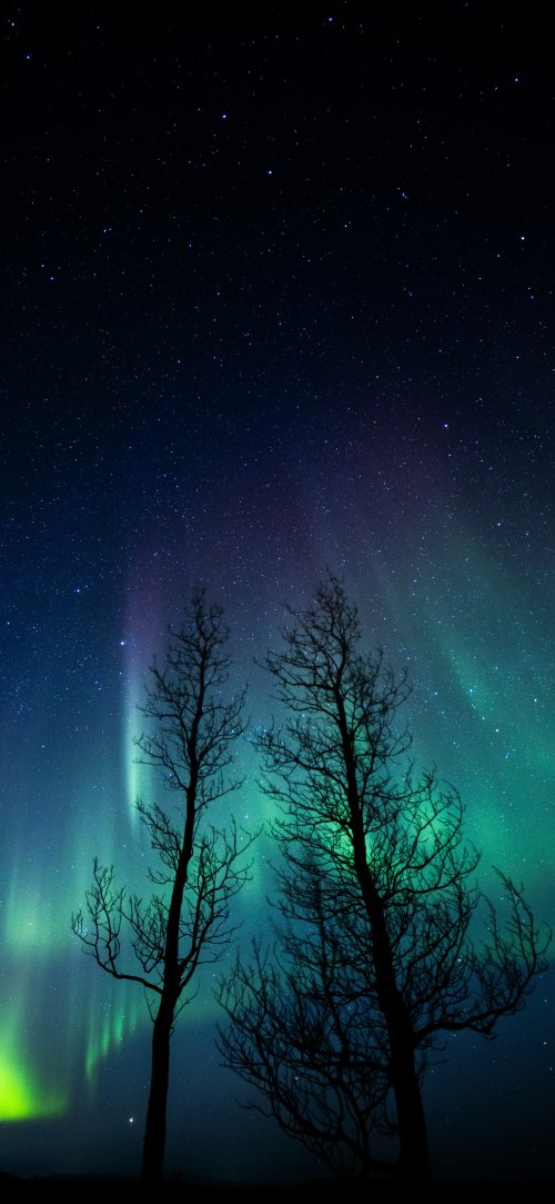 Aurora Borealis Silhouette Trees - Related OpersCraft wallpaper