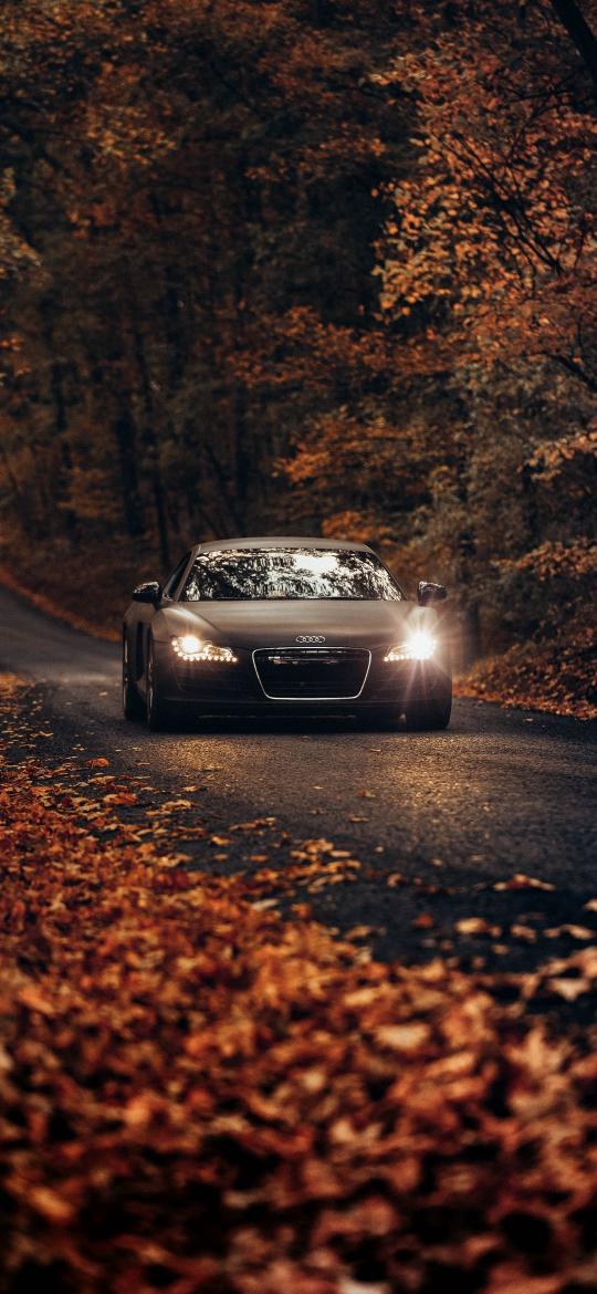 Autumn Audi Drive - Related OpersCraft wallpaper