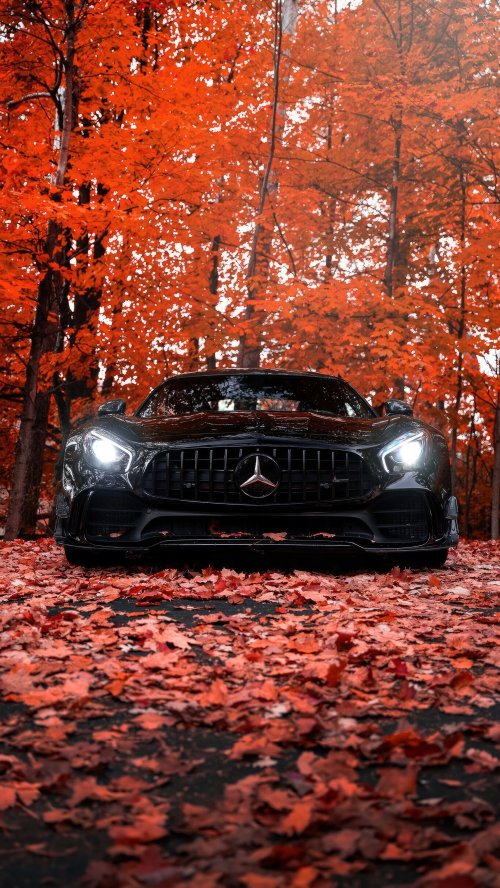 Autumn Mercedes AMG - Related OpersCraft wallpaper