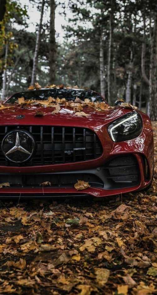 Autumn Mercedes Benz - Related OpersCraft wallpaper