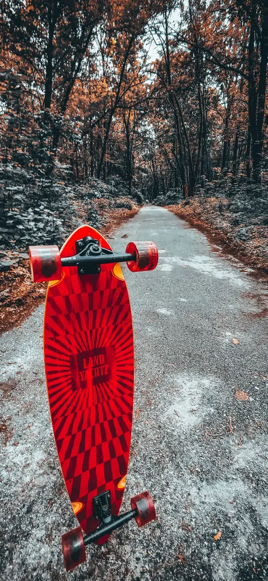 Autumn Skateboarding Adventure