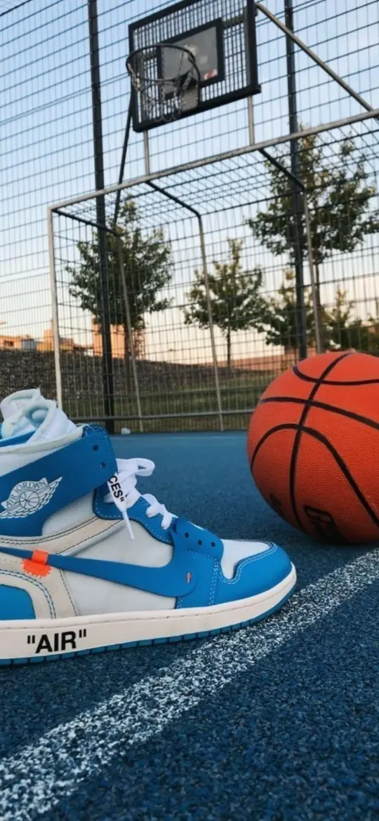 Basketball Court Still Life