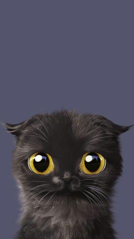 Big-Eyed Black Kitten - Related OpersCraft wallpaper