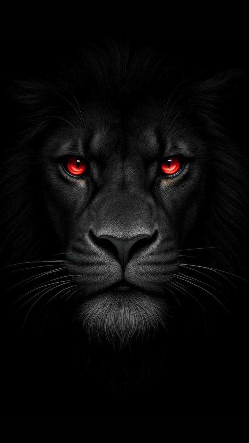 Black Lion Red Eyes - animal Wallpaper