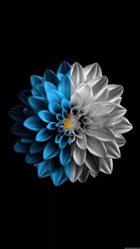 Blue and Gray Flower - Related OpersCraft wallpaper