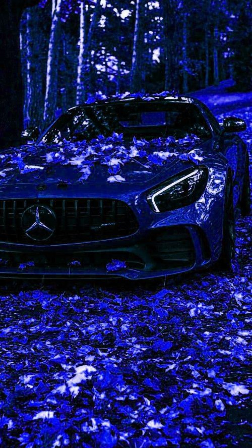 Blue Mercedes in Autumn