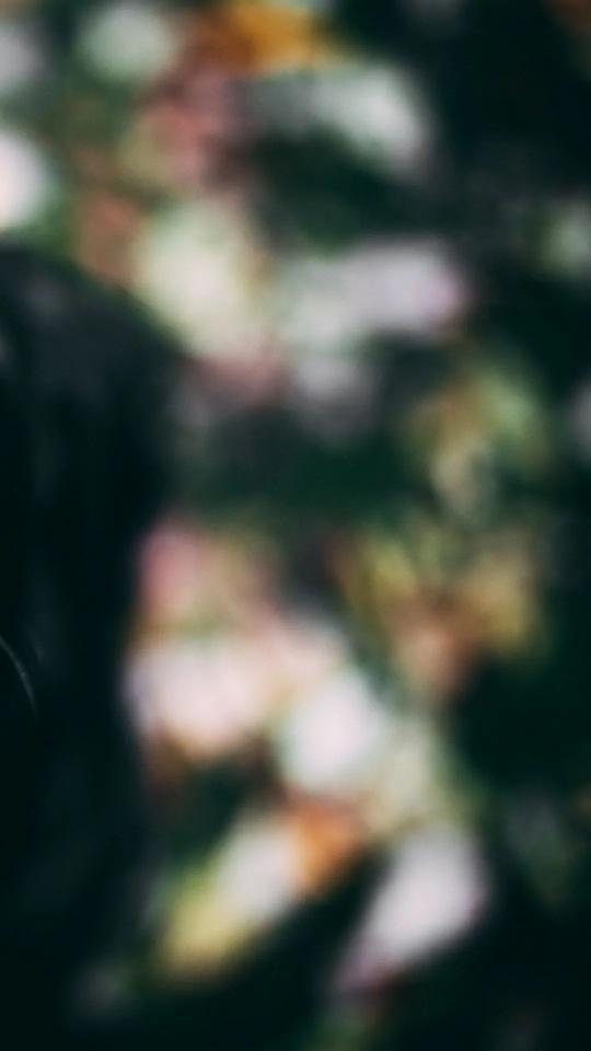 Blurred Floral Impression - Related OpersCraft wallpaper