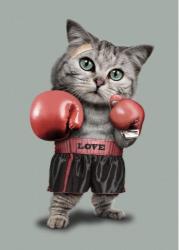 Boxing Cat of Love - Related OpersCraft wallpaper
