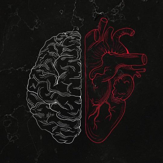 Brain and Heart Anatomy - Related OpersCraft wallpaper
