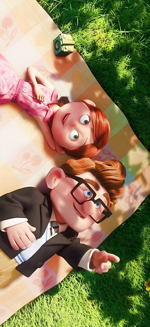 Carl and Ellie Picnic
