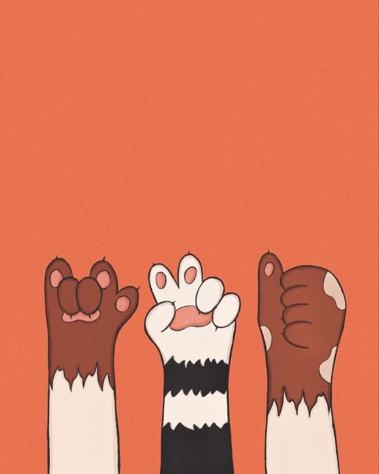 Cat Paw Gestures - Related OpersCraft wallpaper