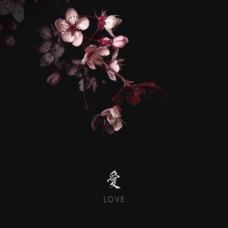 Cherry Blossom Love - floral Wallpaper