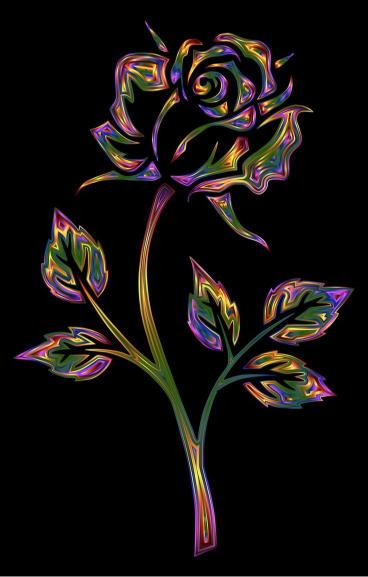 Chromatic Rose Illustration - Related OpersCraft wallpaper