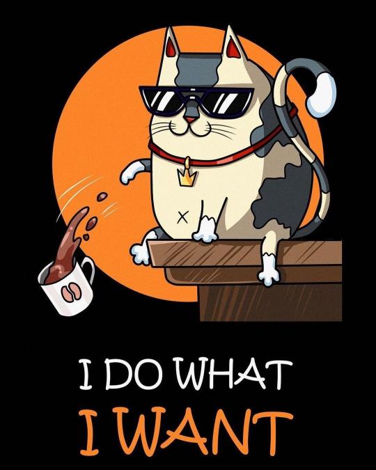 Cool Cat Attitude - Related OpersCraft wallpaper