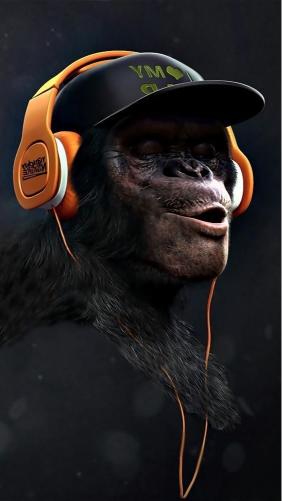 Cool Chimp with Headphones - animals Wallpaper