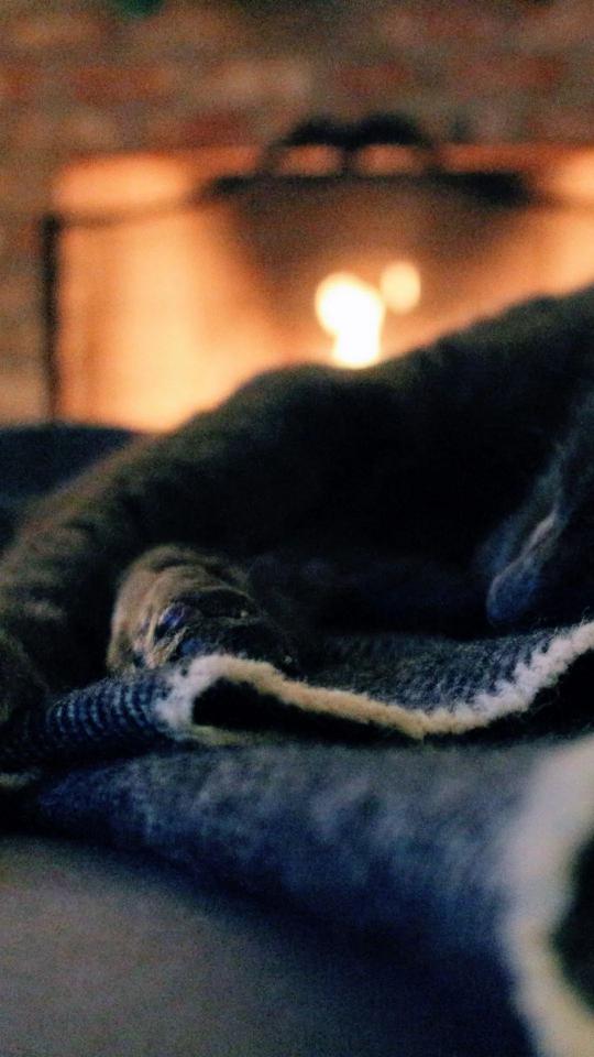 Cozy Fireplace Cat Nap - Related OpersCraft wallpaper