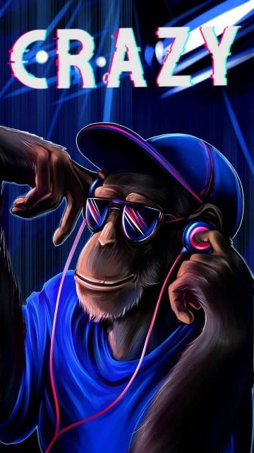 Crazy Monkey Beats - Related OpersCraft wallpaper
