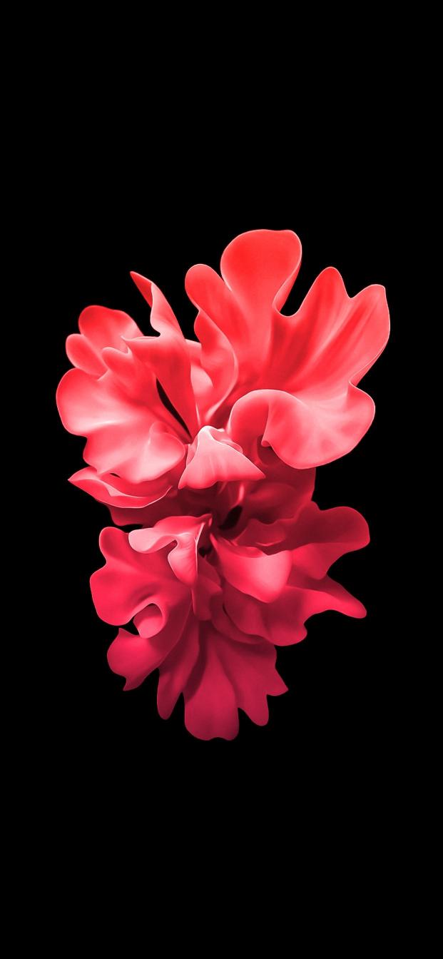 Crimson Bloom on Black - Related OpersCraft wallpaper