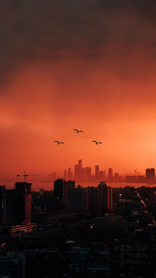 Crimson Cityscape with Birds - Related OpersCraft wallpaper