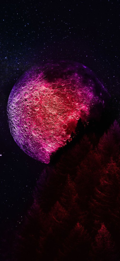 Crimson Moon Forest