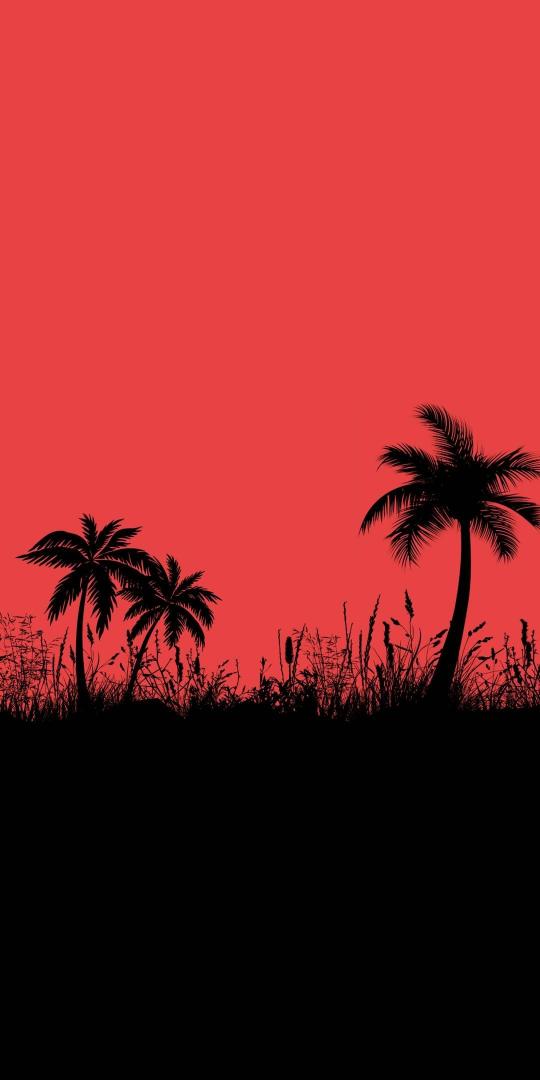 Crimson Palm Silhouette - Related OpersCraft wallpaper