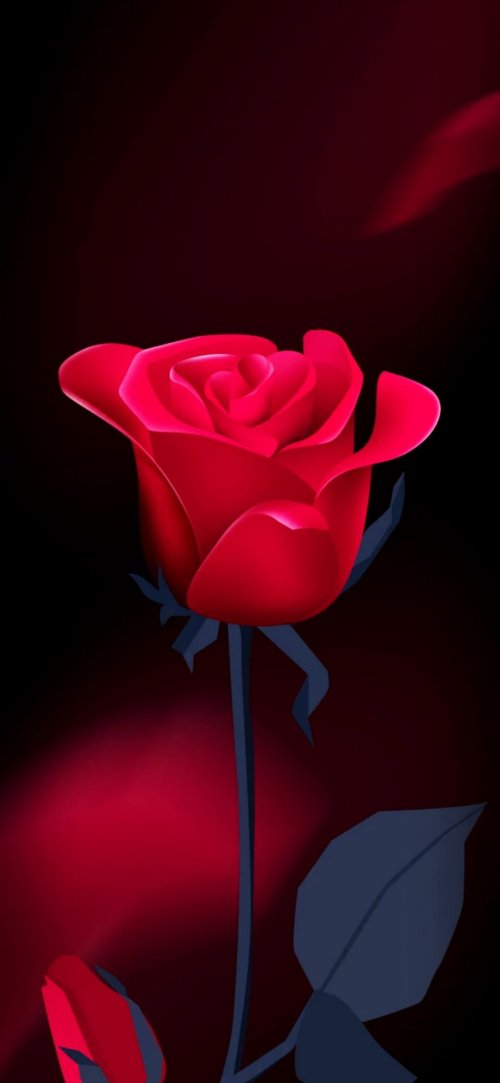 Crimson Rose on Black - Related StockWalls wallpaper