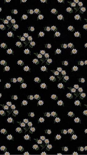 Daisy Delight on Black - Related OpersCraft wallpaper