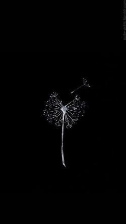 Dandelion Seed in Darkness - Related OpersCraft wallpaper