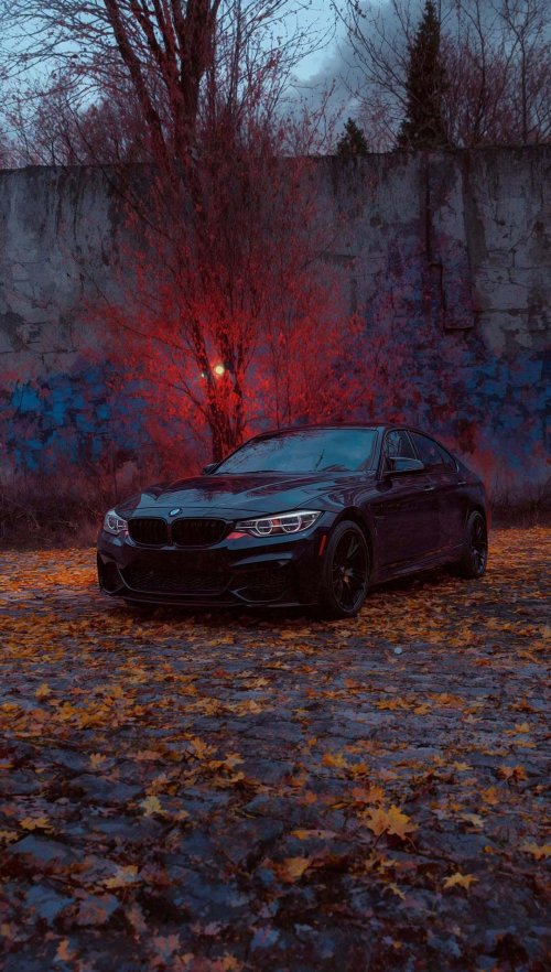 Dark BMW Autumn Scene