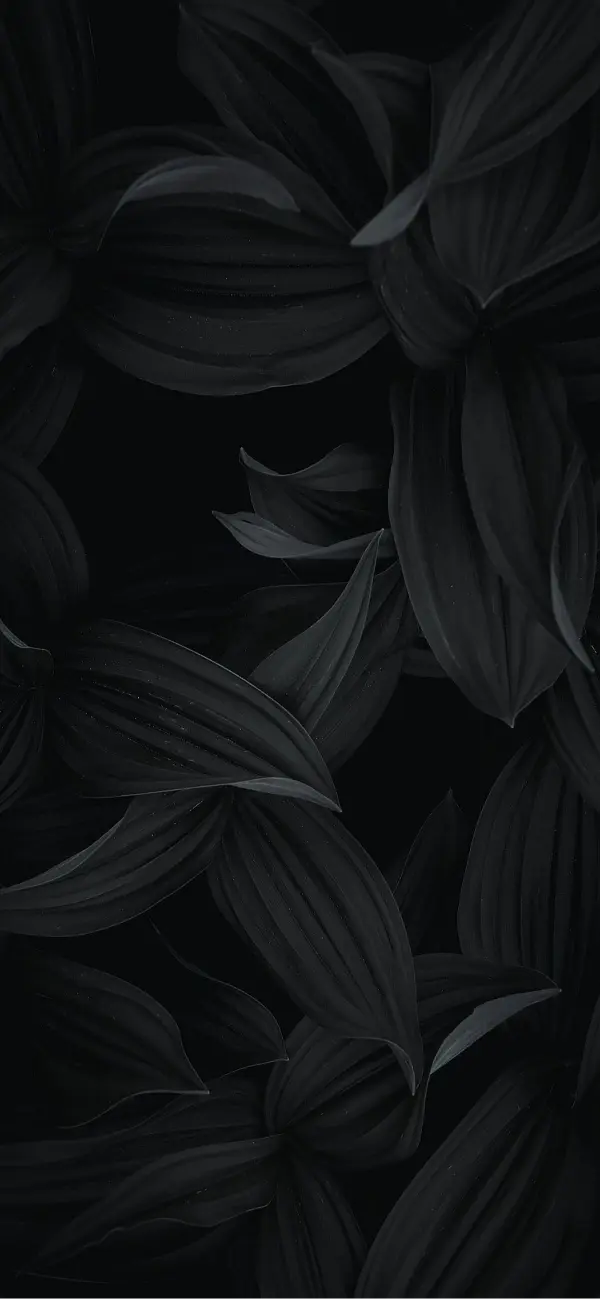 Dark Botanical Leaves - Related OpersCraft wallpaper