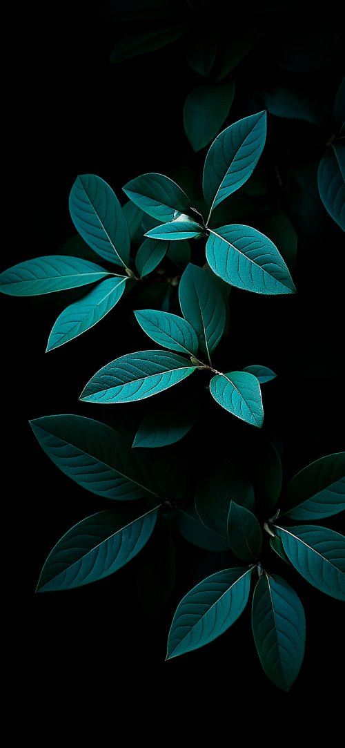 Dark Teal Leaves
