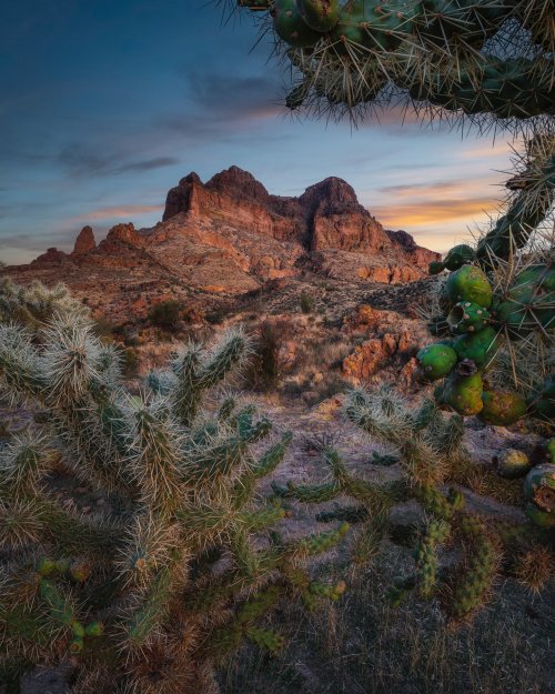 Desert Mountain Cactus Sunset - Related OpersCraft wallpaper