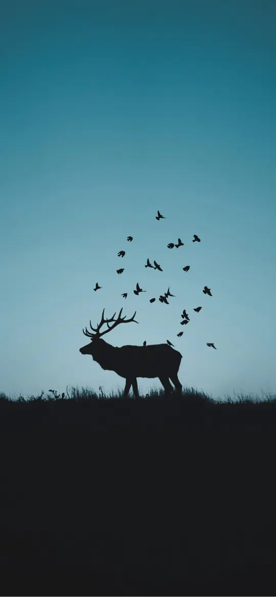 Elk Silhouette with Birds - Related OpersCraft wallpaper