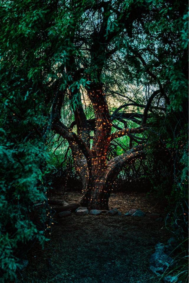 Enchanted Tree Lights - Related OpersCraft wallpaper