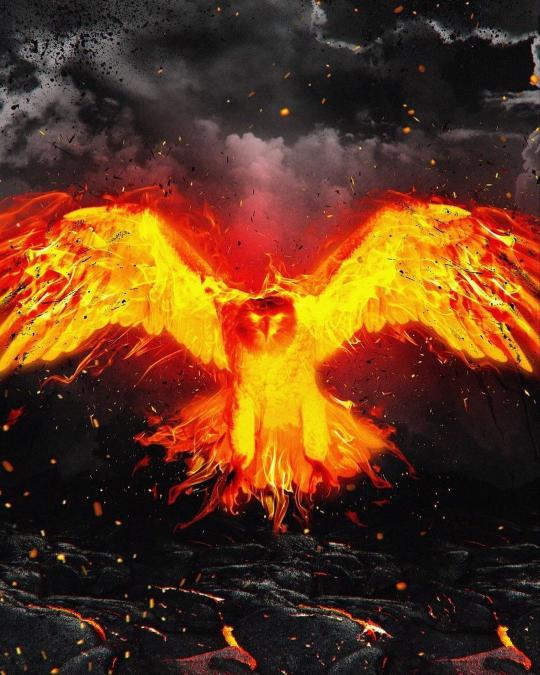 Fiery Phoenix Rising - Related OpersCraft wallpaper