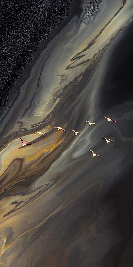 Flamingos in Abstract Sky - Related OpersCraft wallpaper