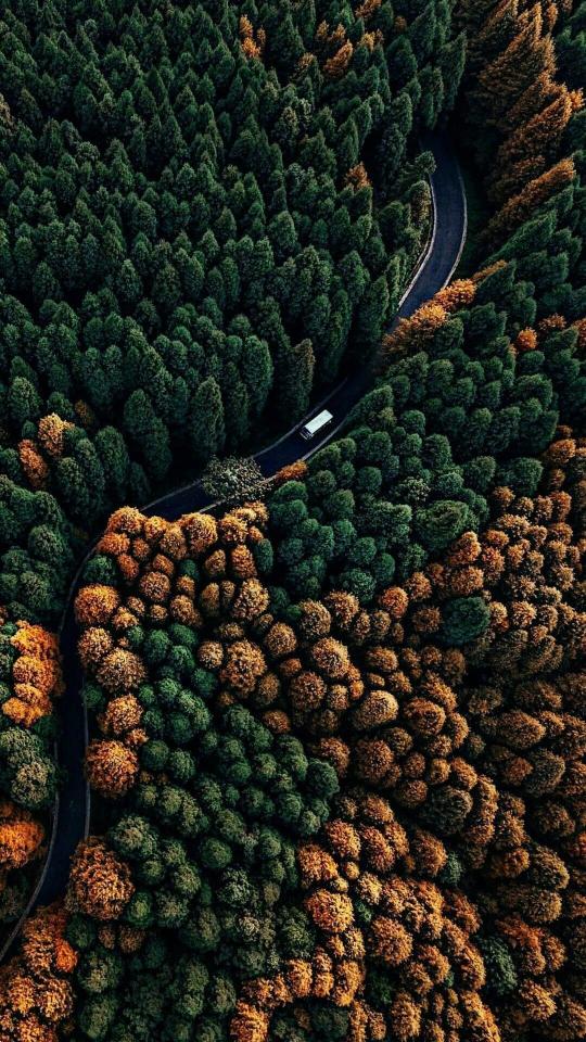 Forest Road Aerial View - Related OpersCraft wallpaper