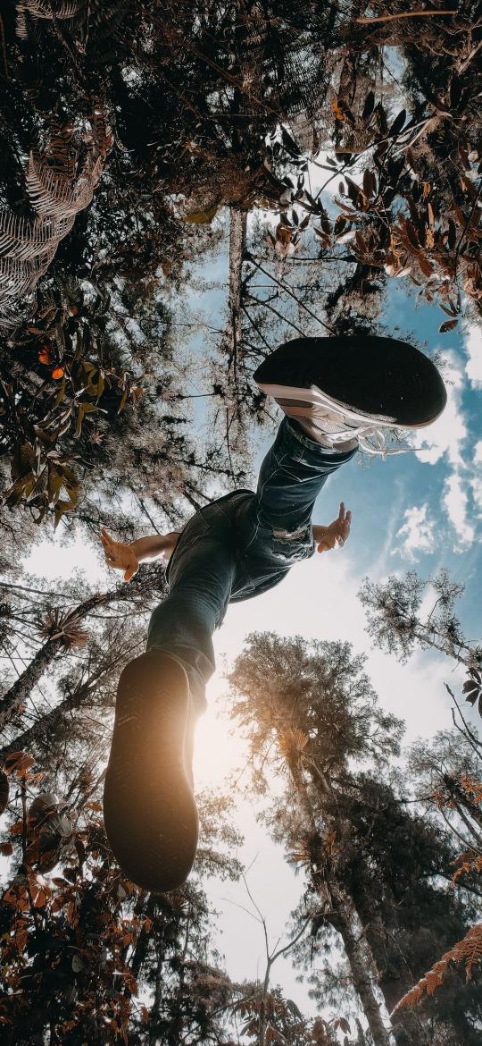 Forest Skyward Leap